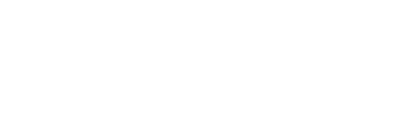 KAMI NO IKARI